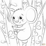 Koala coloring page  Free Printable Coloring Pages sketch template
