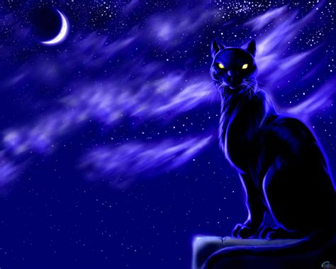 Purple Cat Wallpapers - Wallpaper Cave