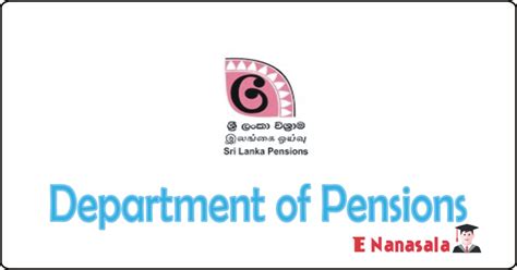 Department of Pensions - Software Developer Job Vacancies