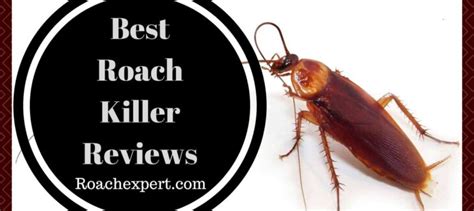 5 Best Roach Killer Reviews: Poison Gel Baits, Sticky Glue, Spray, Acid and IGR