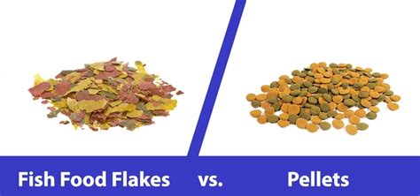 Fish Food Flakes vs Pellets: Key Differences, Pros & Cons | Hepper