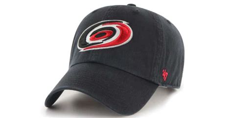 The Carolina Hurricanes Logo History, Colors, Font, And Meaning