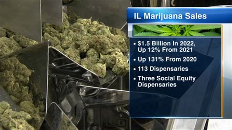 Marijuana dispensary near me: Illinois dispensaries sell record $1.5B worth of products in 2022 ...