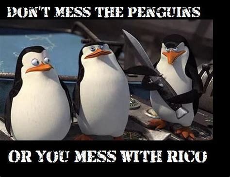 Penguins Of Madagascar Penguin Quotes, Penguin Meme, Animal Quotes, Funny Cartoon Memes, Funny ...