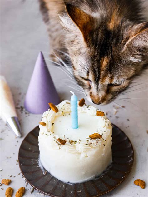 Cat Birthday Cake – Daily Recipe Share