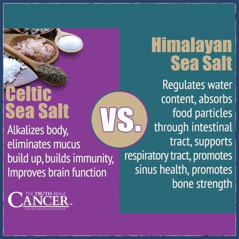 Celtic Sea Salt vs. Himalayan Salt | What's the difference between Celtic Sea Salt and Himalayan ...