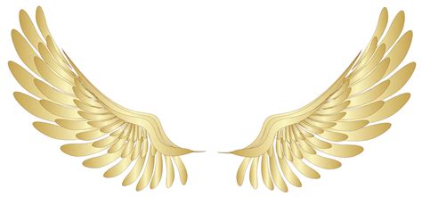 Yellow wings clipart - Clipground