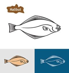 Halibut Vector Images (over 230)