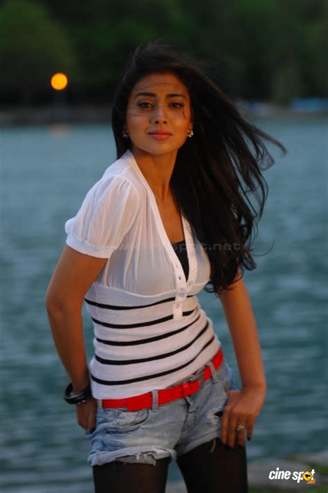 Celluloid Tamil: Don Seenu Photos Don Seenu Telugu Movie Photos Stills Pics Don Seenu Shriya ...