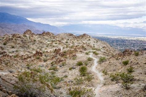 Hiking the Wilderness Loop in Palm Desert - Family Can Travel