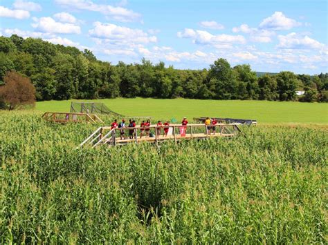 Mega Maze - Davis Mega Farm Festival has the greatest corn maze