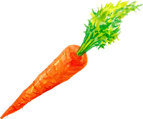 Single Carrot Clipart Png