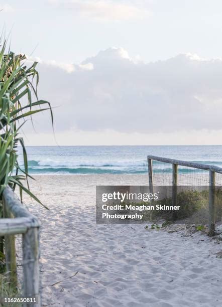 600 Currumbin Beach Stock Photos, High-Res Pictures, and Images - Getty ...