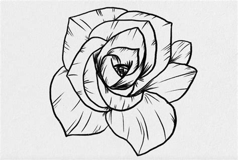 Draw a Rose and Keep a Flower That Will Never Wilt | Skillshare Blog