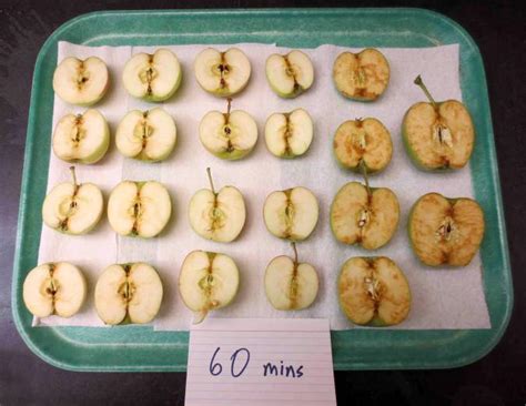 Three New Genetically Engineered “Non-Browning” GMO Apples Are Hitting Store Shelves! Here is ...