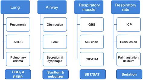 Indications and simplified strategies of mechanical ventilation in ...