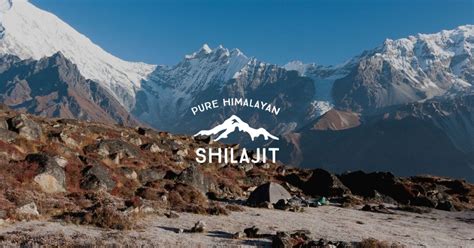 Affordable and High-grade Himalayan Shilajit as well as Altay Mumio ...