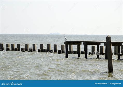 Seawall At The Coastal Erosion Problem Area Royalty-Free Stock Photography | CartoonDealer.com ...