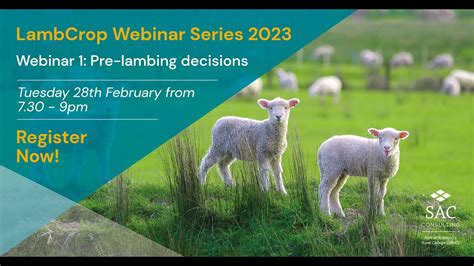 Lamb castration in the cross hairs | Page 9 | The Farming Forum