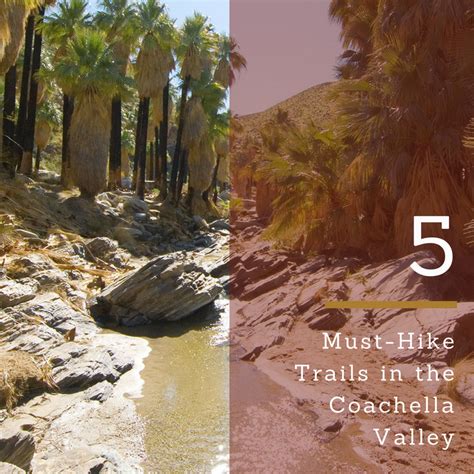 Best Palm Springs & Coachella Valley Hiking Trails | Marriott TRAVELER | Coachella valley ...