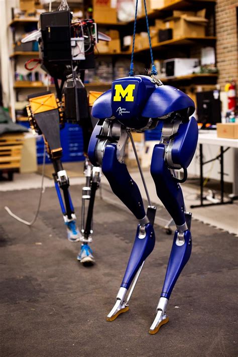 Latest two-legged walking robot arrives at Michigan – The Michigan Engineer News Center