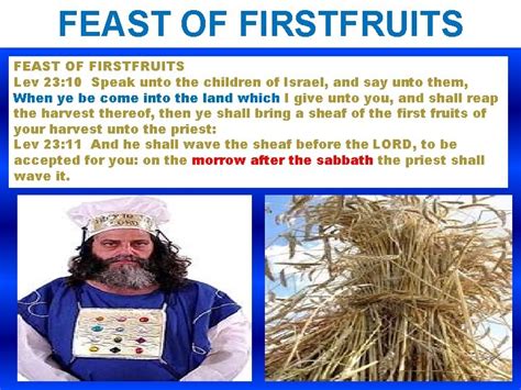 The Feast of First Fruits The Feasts of