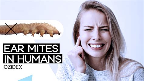 Ear Mites in Humans: Symptoms, Prevention, and Treatment | Ozidex