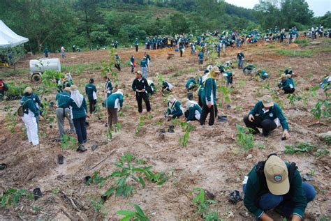 Dr Mat: UPM-Mitsubishi Joint Project Tree Planting