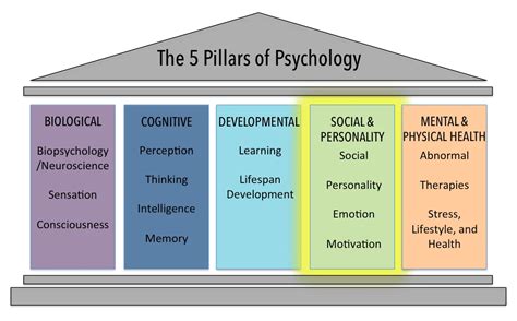 Psychological Theories: Definition, Types, And Examples, 50% OFF