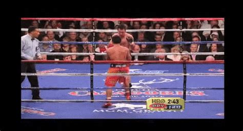 Man Boxing GIF - Find & Share on GIPHY