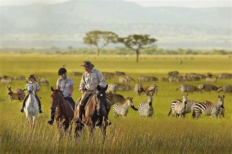 THE BEAUTY OF TANZANIA: SERENGETI NATIONAL PARK HOME FOR KING OF JUNGLE