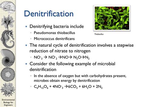 PPT - CEE 210 Environmental Biology for Engineers PowerPoint ...