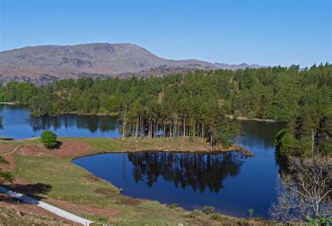 Tarn Hows - Visit Cumbria