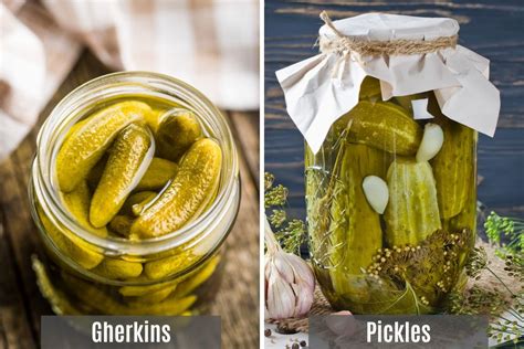 Gherkin vs Pickle (Differences, Tastes, Nutrition, Benefits and More ...