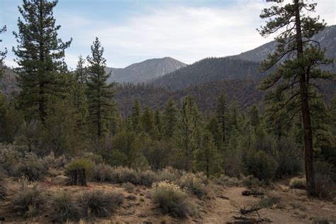 San Bernardino National Forest, California - Recreation.gov