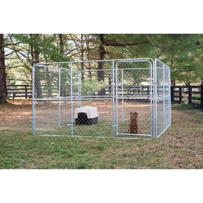 6 ft. x 10 ft. x 10 ft. Gold Series Complete Chain Link Dog Kennel at Tractor Supply Co.