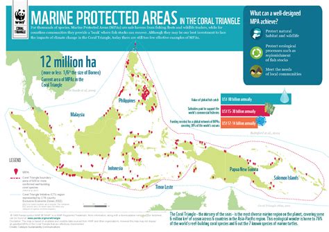 INFOGRAPHIC: Marine Protected Areas in the Coral Triangle | WWF