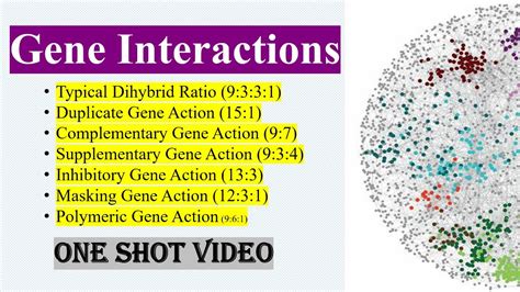 GENE INTERACTION | DETAILED NOTES | NEET | NCERT | CBSE - YouTube