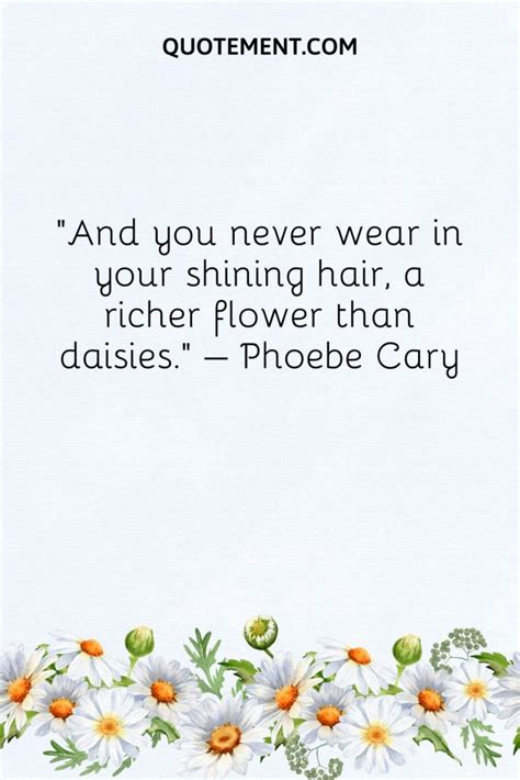 130 Lovely Daisy Quotes To Cherish Its Power And Beauty