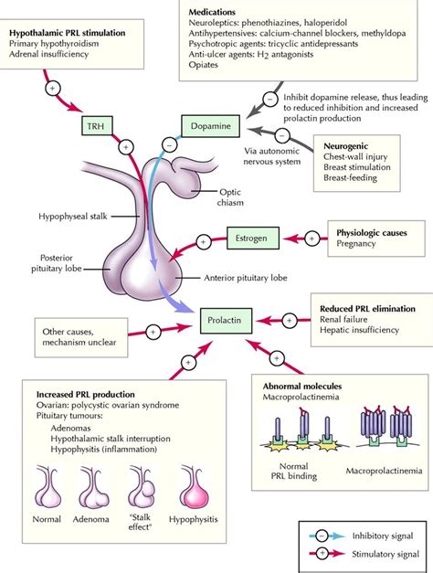 Pin on Biochemistry