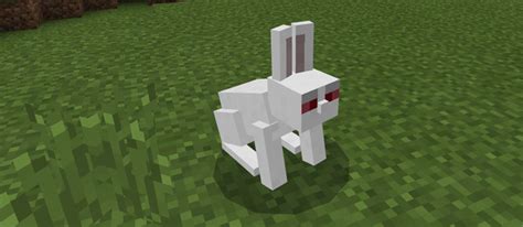 Killer Bunny Add-on | Minecraft PE Mods & Addons