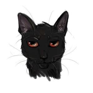 Warrior Cat Maker Deviantart