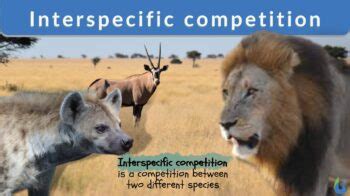 Interspecific competition - Definition and Examples - Biology Online Dictionary