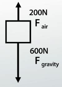 Net Force Physics