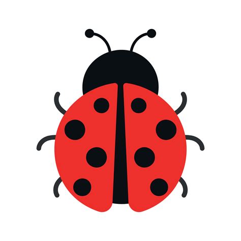 Cute Ladybug Insect Animal Animated Vector Illustration 12681970 Vector ...