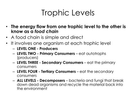 PPT - Kelp Forest Ecosystem and Trophic Cascades PowerPoint ...