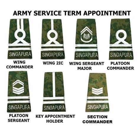 No 4 Cadet Service Term Appointment Ranks (Army) #1517-2B | SoldierTalk (Military Products ...