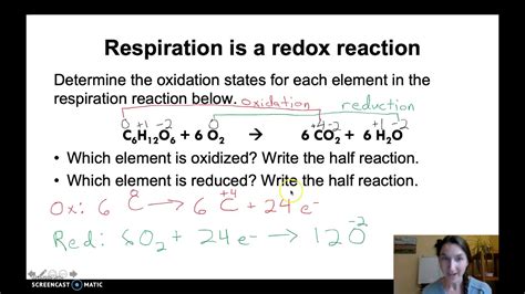 Redox Reaction Cellular Respiration