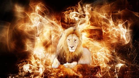 Fire Lion Wallpapers - Top Free Fire Lion Backgrounds - WallpaperAccess