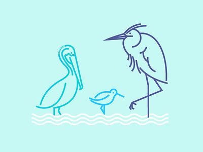 Shore Birds by Fuzzco™ on Dribbble